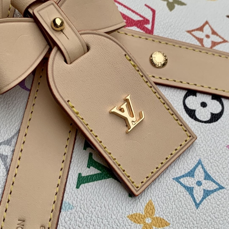 LV Travel Bags